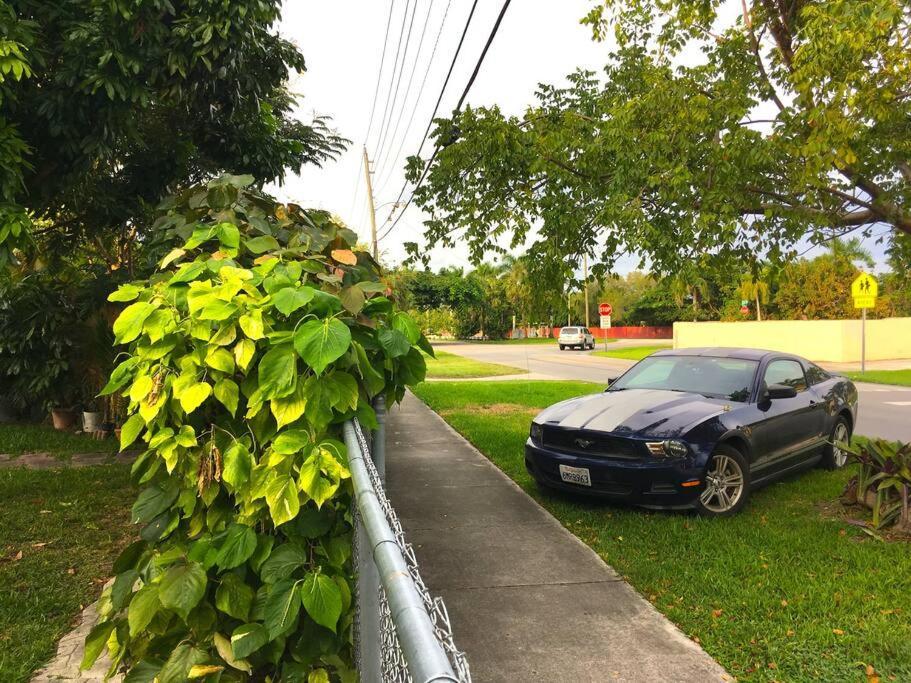 קטלר ביי Miami Bungalow Oasis Near Everglades & The Keys מראה חיצוני תמונה