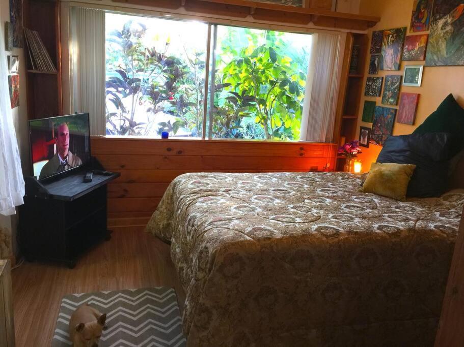 קטלר ביי Miami Bungalow Oasis Near Everglades & The Keys מראה חיצוני תמונה