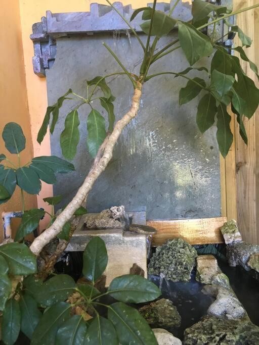קטלר ביי Miami Bungalow Oasis Near Everglades & The Keys מראה חיצוני תמונה