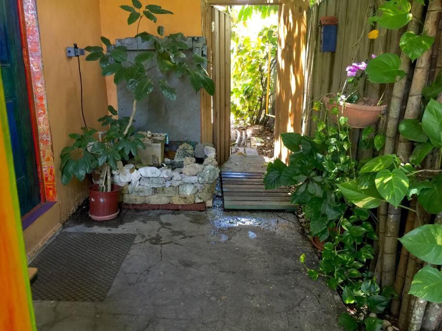 קטלר ביי Miami Bungalow Oasis Near Everglades & The Keys מראה חיצוני תמונה